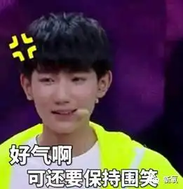 蹭tfboys热度的太多了年龄改小10岁还和王俊凯炒cp