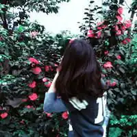 qq头像带花的女生头像图片
