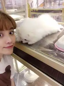 葛天与狗狗合影眼神宠溺空气刘海少女感十足