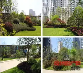 还在等交付即买即装即住超省心