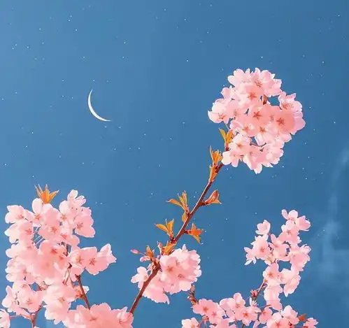 一个人会走大运,身上必定有这四个征兆,看看你有没有