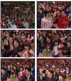 春晚神秘白衣女子频上镜网友纷纷猜其身份