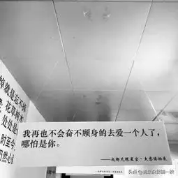 14条失恋博物馆点赞最多次的句子,句句让人心碎,你敢看吗