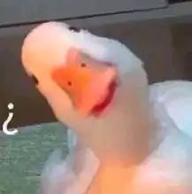 唯美姓氏图片女生头像锦