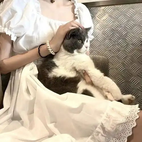 一些好看的头像和壁纸