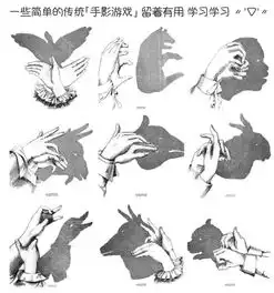 手影游戏