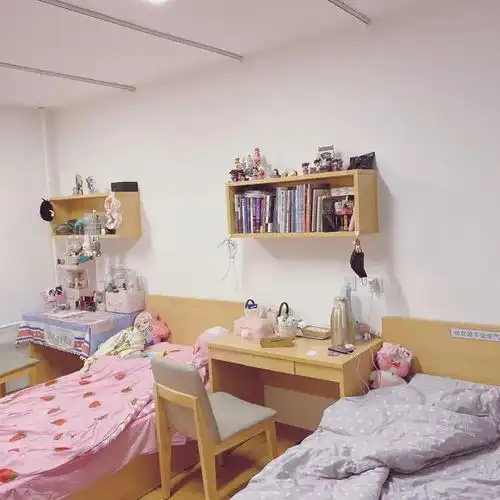 女生真实大学宿舍头像
