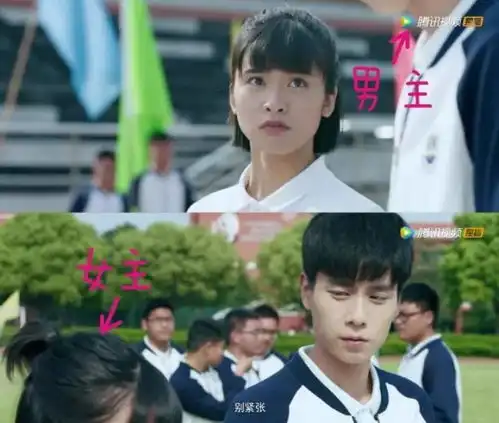 江辰喜欢陈小希,只有陈小希傻傻不知道