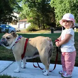 这辈子,能遇见你真好