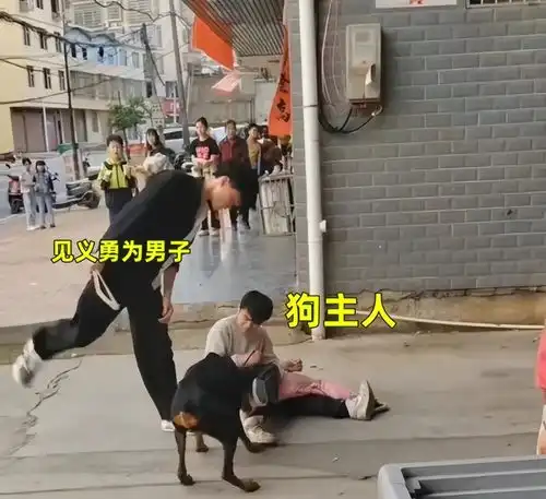 湖南男子棍打恶犬后续小女孩腿骨被咬穿,狗主人身份曝光