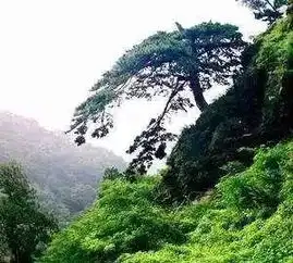 23京北人少景美的避暑胜地曾经是皇家的风水禁地