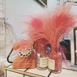 粉红顽皮豹头像大全