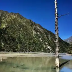安静的自然风景头像