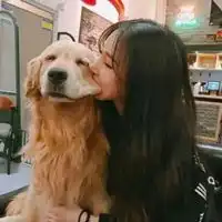 女生和狗狗的头像狗狗