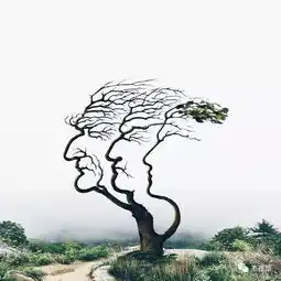 你还年轻,千万别碰下面这些东西