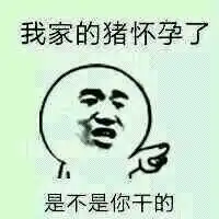怎么向ipod导入音乐