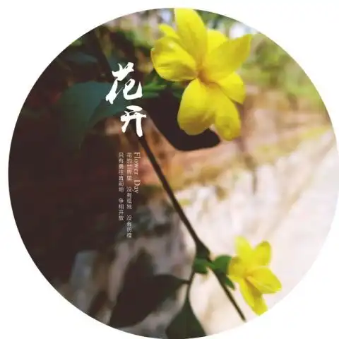 松山的春天美到不可复制