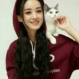 赵丽颖的美拍
