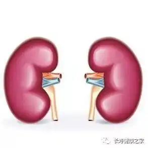 身体各器官的杀手,都只有一个字躲过它,健康延年,无病到老搜狐美食搜狐网