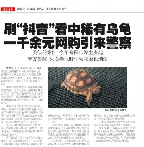 女子刷抖音购野生陆龟遭刑拘抖音还在为野生动物交易暗度陈仓