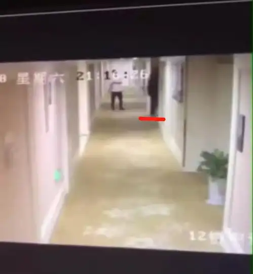 胡姓鲜肉约p被实锤了
