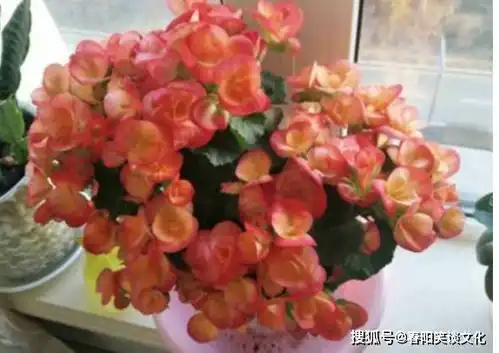 未来三周,鸿运当头,事业走顺,财运上涨,贵人运极为旺盛的人
