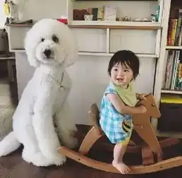 宝宝和狗狗的故事,这场景好暖