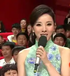 羊年春晚主持人公布盘点历年春晚美女主持