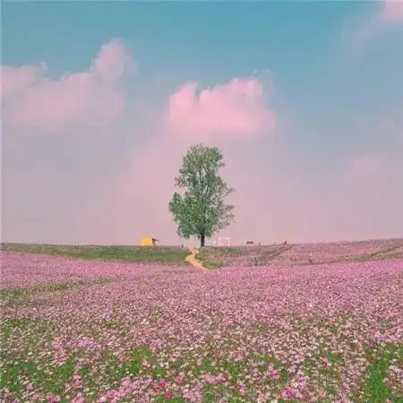 无法选择出身,那就掌握自己的人生