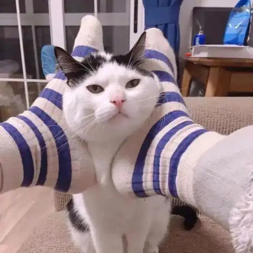 情侣头像默然相爱寂静欢喜