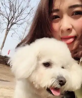 养狗有多快乐比熊的到来,让女孩重获了新生,还步入了婚姻殿堂