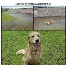 每日一笑,据说,所有女生出门都是这样