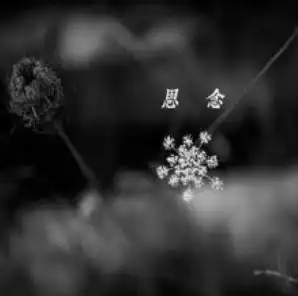 张金虎重生微诗三首