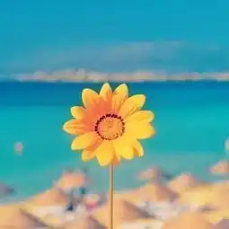 常微笑,懂知足