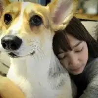 头像原图求解答.