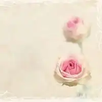 微信头像风景花朵图片意境唯美微信头像图片大全