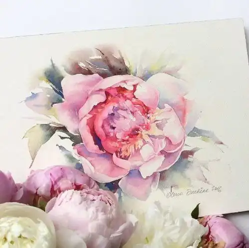 水彩画家olenaduchene绘画作品