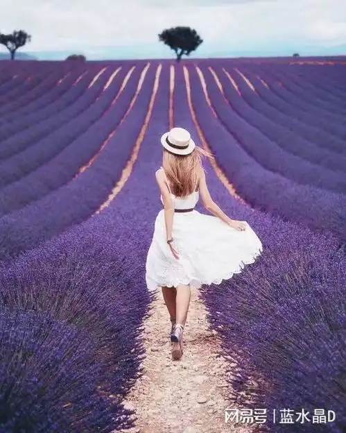 2022年记该怎么形容这一年呢