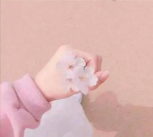 唯美梦幻樱花雨背景图我的爱不多不少,全都给你刚刚好