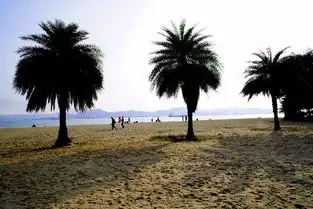 感受浪漫厦门行