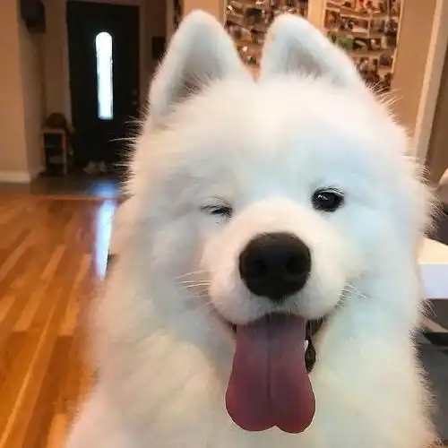 首页
