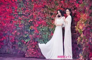 迪丽热巴黄梦莹姐妹写真唯美梦幻宛若仙女
