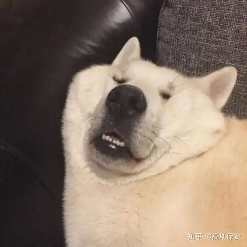 女网图真人头像可爱搞怪
