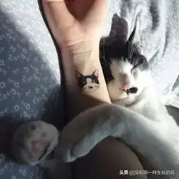 男生怎么看待爱纹身的女生