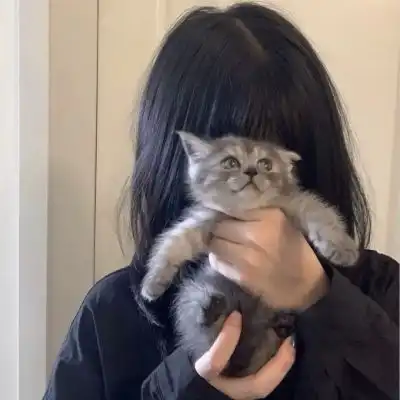 苏苏黑色系女头我才不要可可爱女生头像我要个性网