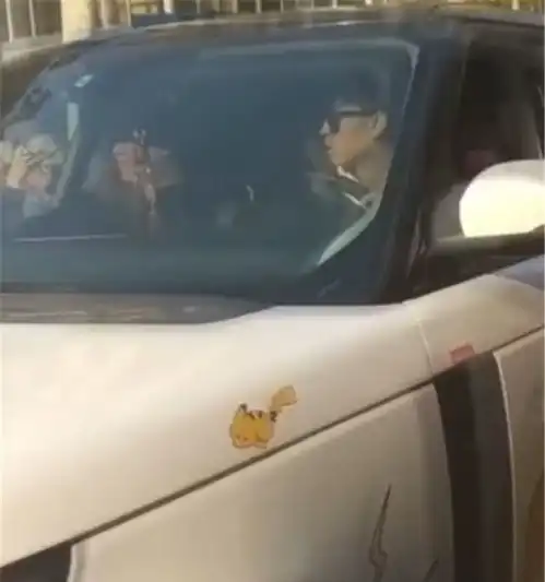 龙年微信头像女座驾