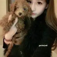 卡通头像女抱着狗微信头像图片大全
