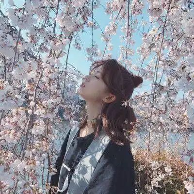 你不是最好的,却是我最珍惜的句句扎心