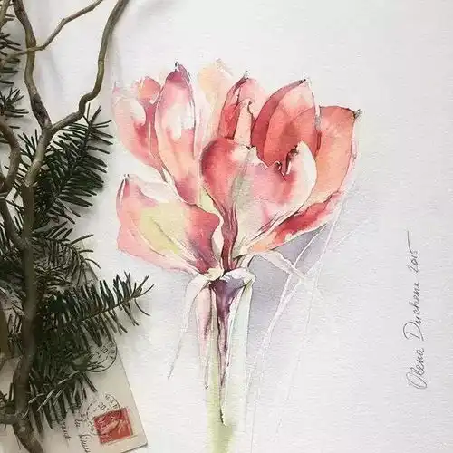 她将世间美好的花都画在笔下,每张都有女孩子的姿态