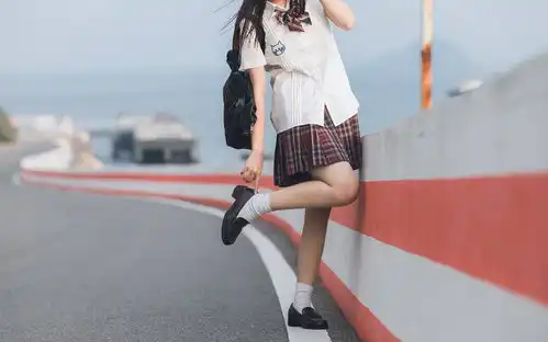 清纯jk美女桌面壁纸